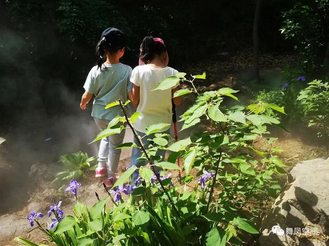 北京西山森林公园，北京西山森林公园登山路线推荐（西山国家森林公园）