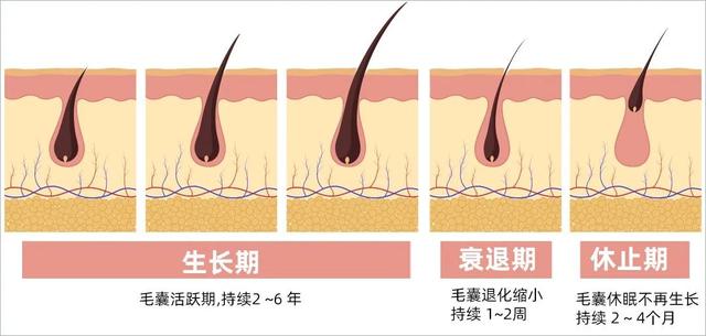 防脱发好用的产品，防脱生发产品到底有没有用
