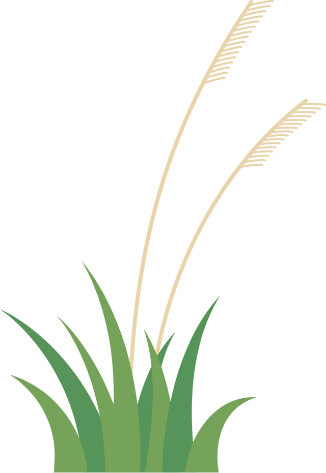 五一劳动节来源，五一劳动节的由来（五一劳动节的由来，你知道吗）