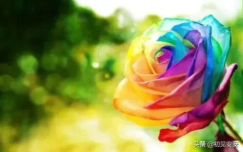 关于冬天的作文，关于冬天作文通用15篇（描写冬天的优秀作文）