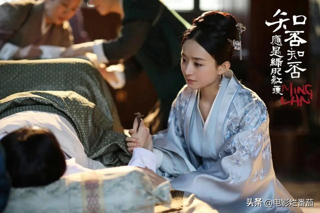 三十而已演员表，流金岁月演员表（江疏影将自己活成了一股娱乐圈的“清流”）