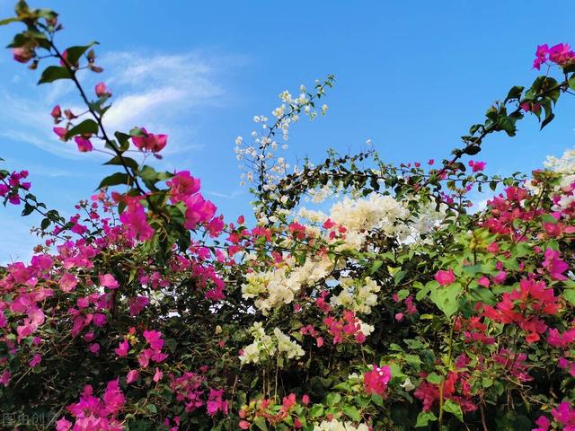 生活中有规律的现象和事物是什么，生活中哪些事物是有规律的（一个人开始走上坡路的12种现象）