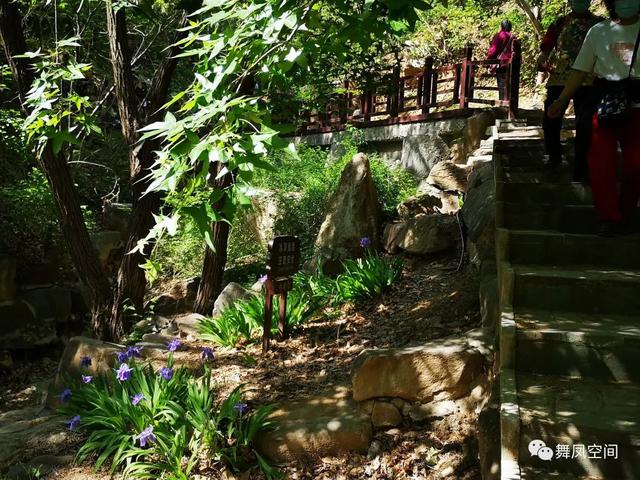 北京西山森林公园，北京西山森林公园登山路线推荐（西山国家森林公园）