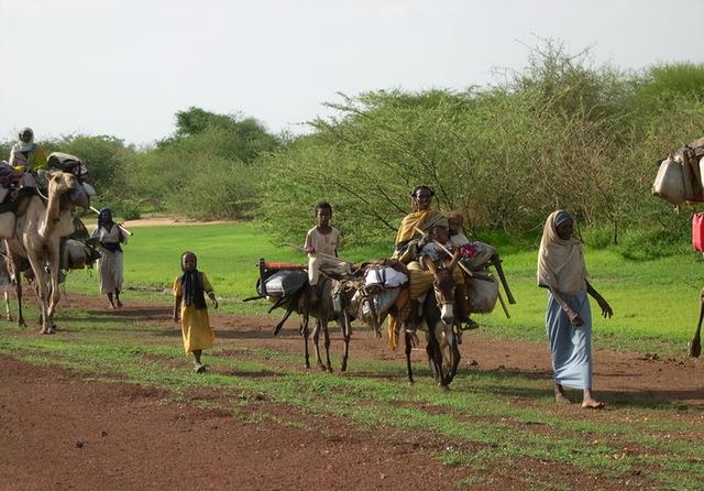 金字塔的起源和历史，金字塔的起源和历史PPT（金字塔是如何建造出来的）