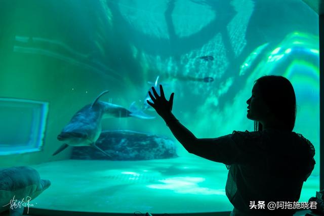 哈尔滨旅游攻略自由行攻略最新，哈尔滨一日游攻略
