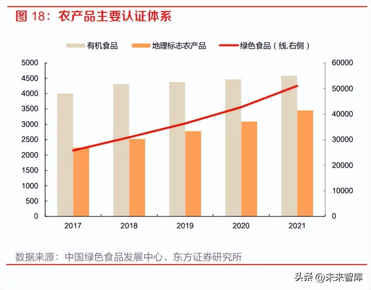 了望智库（内容电商深度报告）