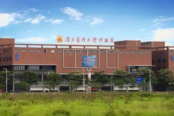 广东舞狮过年，都是“硬核”年俗