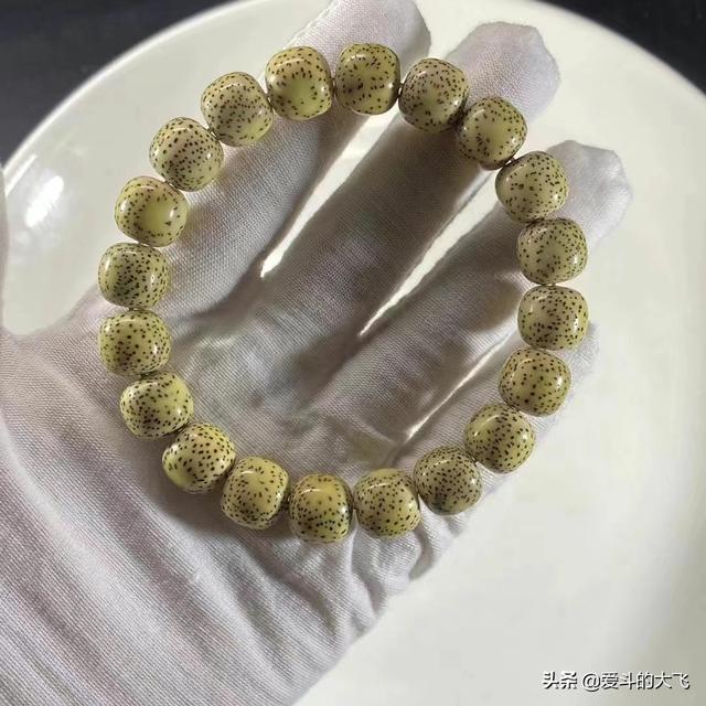 星月菩提是什么，星月菩提是什么意思（玩星月菩提的朋友请进）