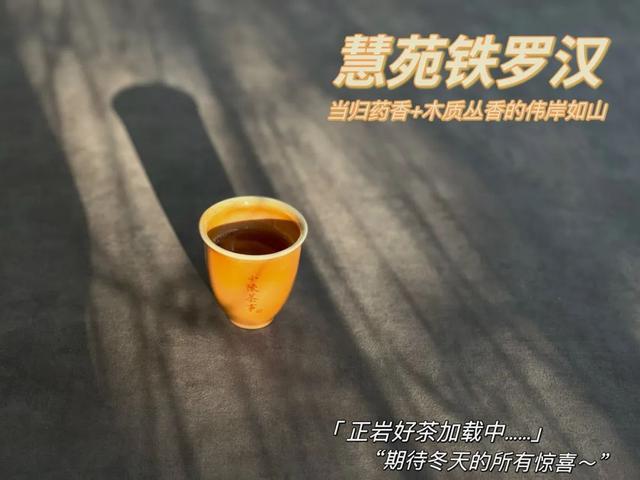 铁罗汉是什么茶，铁罗汉茶属于什么茶（不识慧苑老丛铁罗汉）