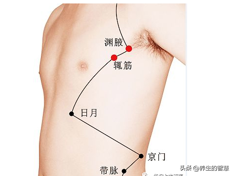 胆经的准确位置图，真人胆经穴位运行路线图（最完整的经络笔记）