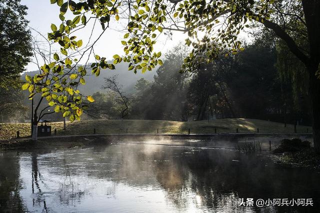 杭州太子湾公园