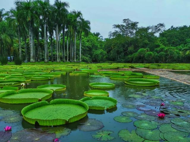 七八月份最适合旅游的地方，7-8月最适合旅游的地方（探索天地间的五光十色）