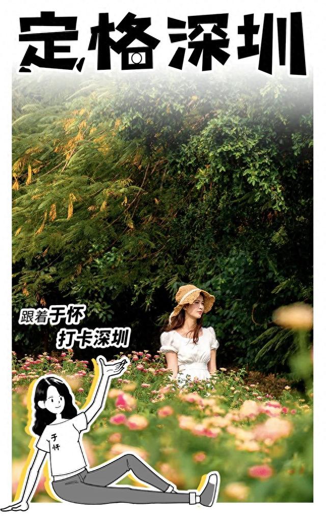 宝安10个必去的地方