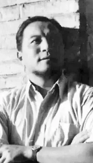 长城谣歌词，长城谣歌词含义（筑起抗战的心灵长城）