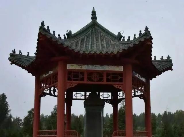 濮阳有什么好玩的景点，濮阳旅游景点推荐一下（行走河南·读懂中国丨不负好春光）
