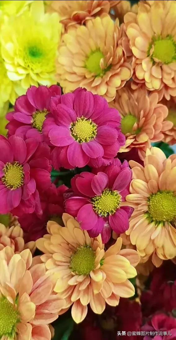 美美美的，美美美的表情包（壁纸美图）