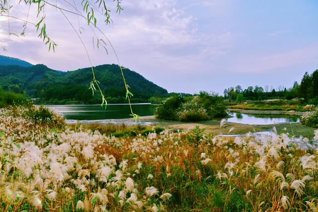 中国唯一永久宜居城市，中国唯一永久宜居城市是哪里（信阳凭啥是我国唯一永久性宜居城市）