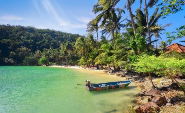 五观是哪五观，五观是哪五观图片（这“五观”比五官更重要）