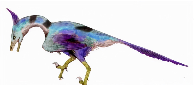 恐龙图片大全大图，画恐龙图片大全大图（画恐龙怎么画）