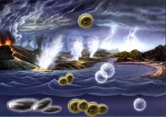 宇宙的造物主是谁，变形金刚4里说的造物主是谁（爱因斯坦的怀疑或许是对的）