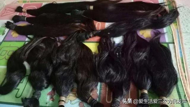 做什么项目投资少赚钱快，做什么生意投资少（但是很适合农村人做的“暴利”项目大分享）