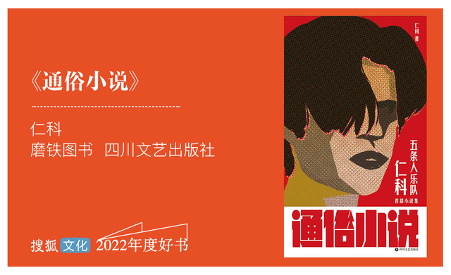 国内一些好看的书，国内什么书好看值得看（搜狐文化好书之选为您备好10种年度好书）