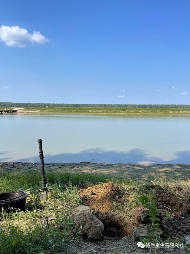 及锋而试指什么动物，锋正确答案生肖是什么动物（<第十八回>养精蓄锐以待及锋而试）