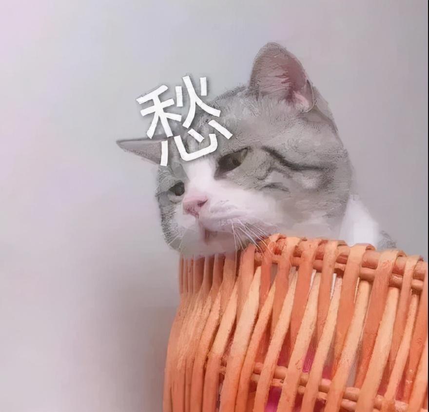 闲鱼可以花呗吗(花呗能异地给人付款吗)