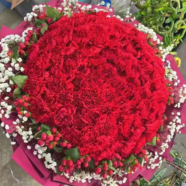 红康乃馨的花语和寓意，让她成为朋友圈女王