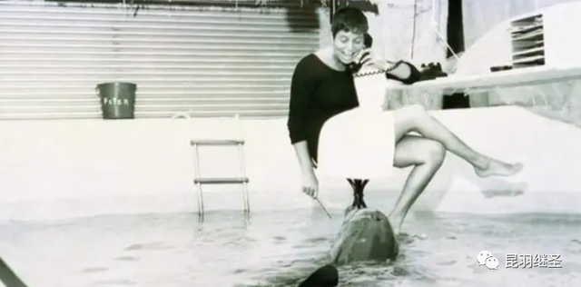 男子和海豚发生关系，南非一男子赏鲸差点被鲸鱼吞进嘴中（海豚殉情闭气自杀）