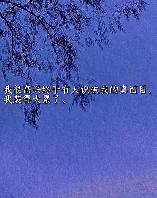 追风筝的人经典语录，《追风筝的人》经典语录有哪些（《追风筝的人》经典语录）