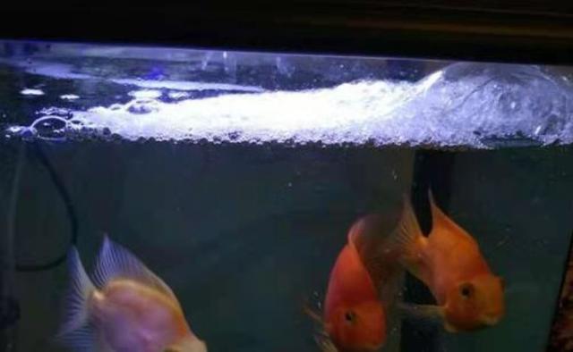 爆氧是什么意思，什么叫做爆氧（包括了下述的所有方式）