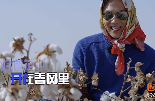 新疆摘棉花是什么梗，张智霖戴头巾摘棉花被阿姨误认为20多岁