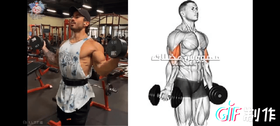 快速练好肱二头肌锻炼方法，快速练肱二头肌的方法（肱二头肌怎么练）