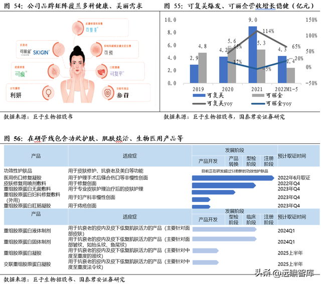 三型胶原蛋白导入危害，三型胶原蛋白导入的效果维持多长时间（析胶原产业链机理）