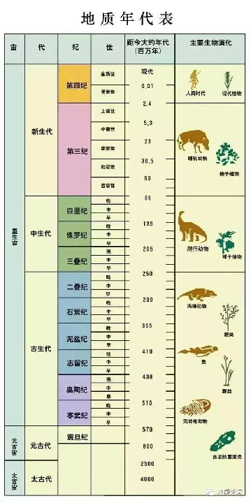 生物化石的形成过程，化石是怎么形成的（从地质年代表看生命的起源）