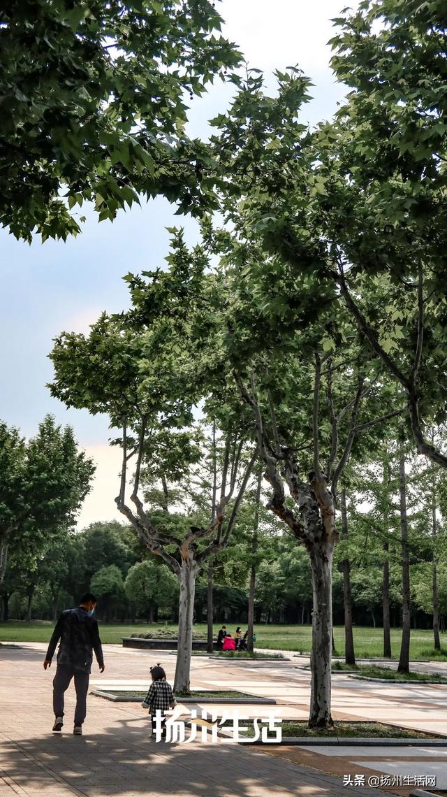 扬州历史文化景点，扬州最容易被忽视的古城遗址