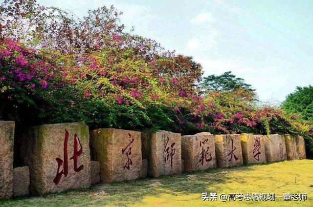 公费师范生一般分配到哪里，公费师范生毕业分配是怎么样分配（“铁饭碗”一一国家公费师范生）