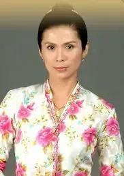 哪个台演小娘惹，2008年11月25日首播的《小娘惹》