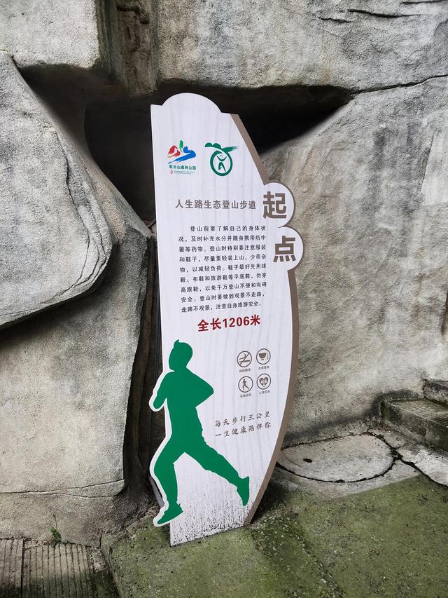 歌乐山森林公园，重庆旅游必去景点（歌乐山国家森林公园）