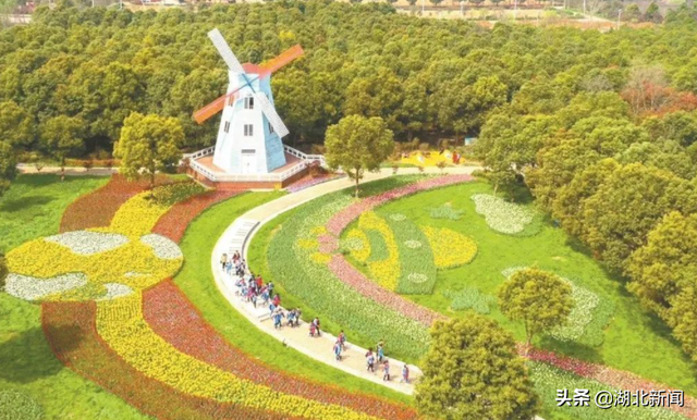 武汉市花是什么，武汉什么花是市花（三月的湖北全是花花花花花花）