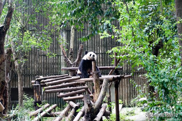都江堰旅行必去景区，都江堰旅游景点推荐看这里