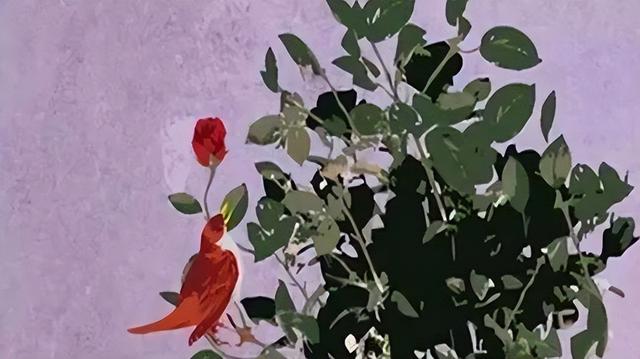 夜莺与玫瑰的寓意，我们一起来读读《夜莺与玫瑰》