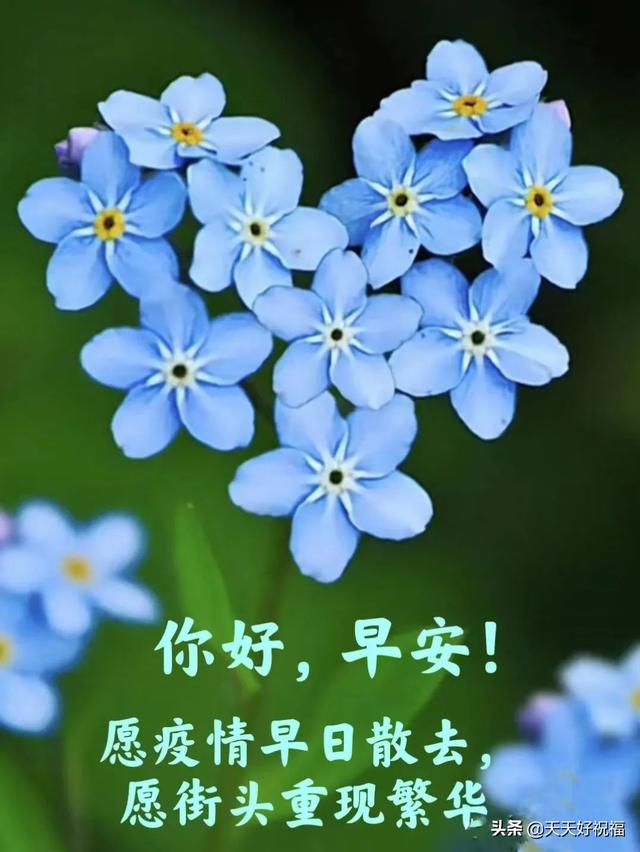 疫情愿一切安好的唯美句子，疫情过后愿一切安好一句话（继续防疫不松懈,迎来人间百花开。请多保重）