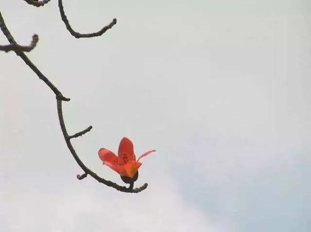 2014年1月14日黄历，2014年11月14日黄历（正月十四是守财神的日子）