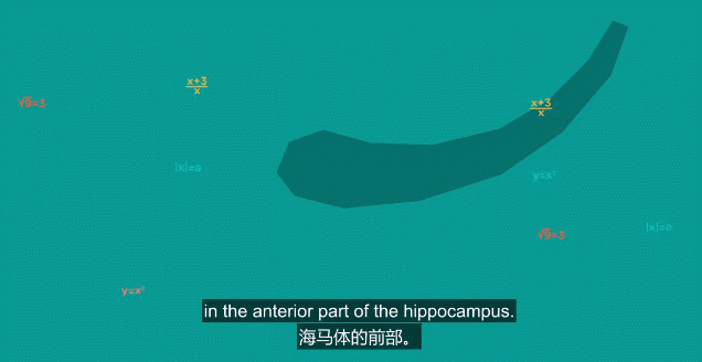 像极了晚上睡不着觉的样子，又是睡不着的夜晚（危害比你想象中还要大图片）