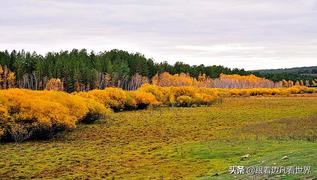 阿尔山的风景，《走进内蒙》景色迷人