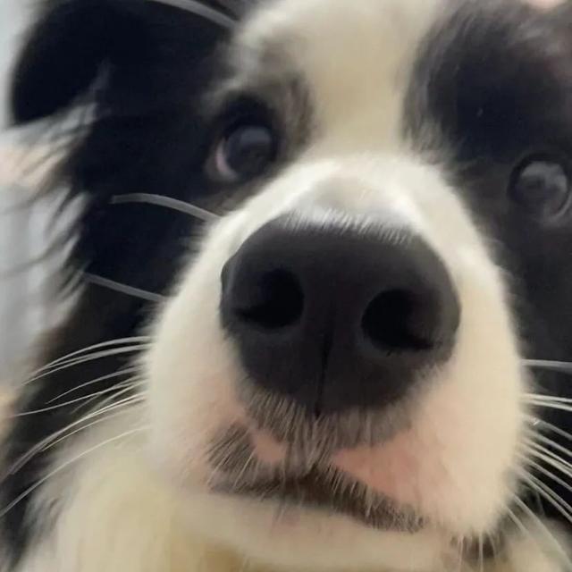 也许放弃才能靠近你，也许放弃 才能靠近你，微信头像（人生才几年不能因为找不到对象而放弃自己）