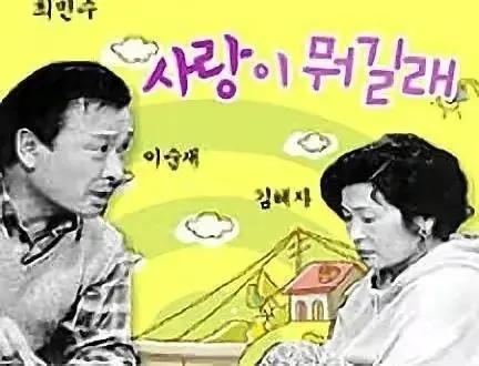 高斗心主演的电视剧，高斗心（10部50集以上的长篇韩剧）