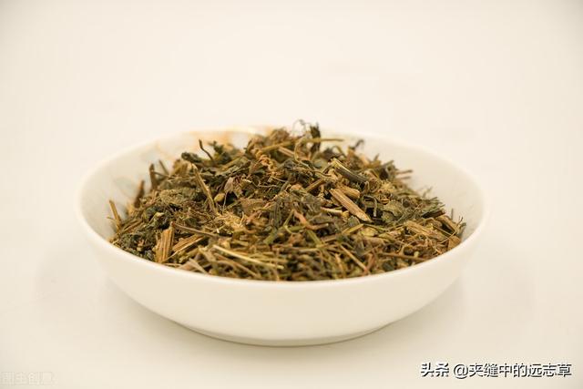 纹股蓝的功效与作用，讲一味小小的绞股蓝